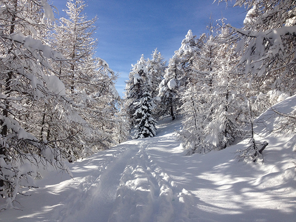 Winter-Paradis Stubeck