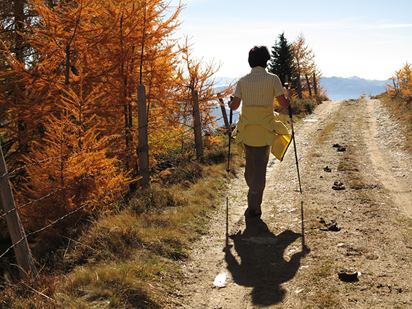 Wandern am Stubeck